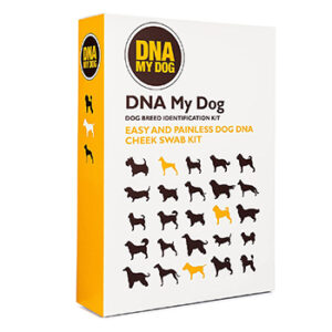 DNA My Dog beste DNA test hond