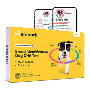 Embark Breed beste DNA test hond
