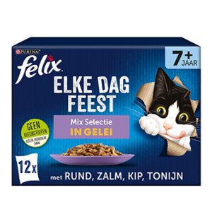 Felix Elke beste natvoer kat