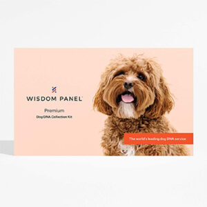 Wisdom Panel beste DNA test hond
