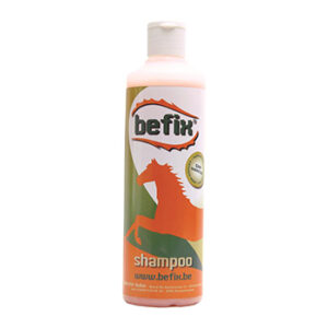 Befix beste shampoo