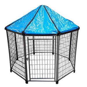 Kleine hond puppyren Kleine hond puppyren