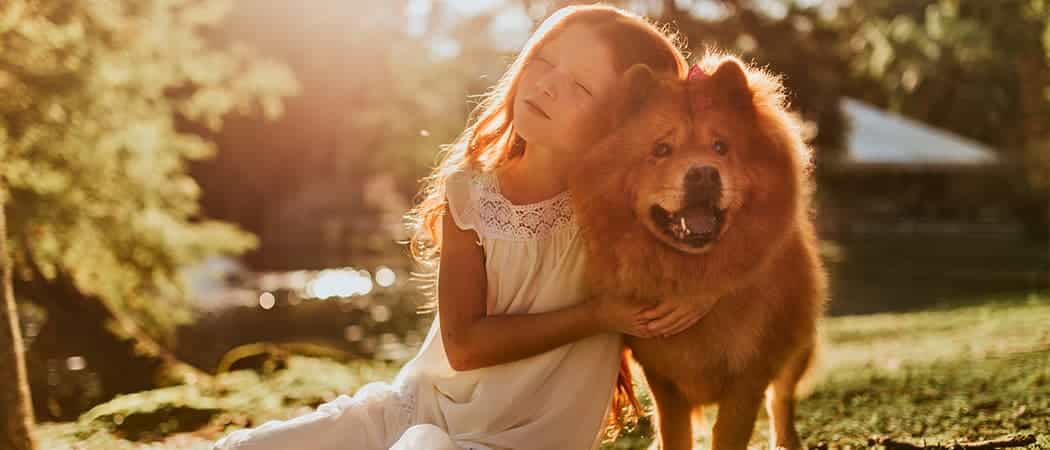 Chow Chow Chow Chow